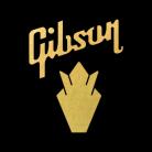 Gibson Crown Pack Water Slide Decal