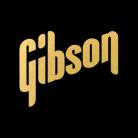 Gibson 70s Logo Gold Water Slide